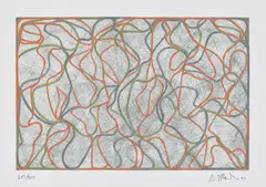Brice Marden, Distant Muses (G. 1881), 2000, Screenprint in colours, on Somerset Velvet paper, with full margins