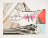 James Rosenquist, Doorskin (G. 168), 1979, Etching, aquatint and embossing with pochoir in colors, on Pescia Italia paper, with full margins