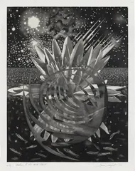 James Rosenquist, Welcome to the Water Planet (G. 211), 1987, Monumental aquatint, on T.H. Saunders paper, with full margins, folded (as issued)