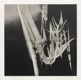 James Rosenquist, The Prickly Dark (G. 212), 1987, Monumental aquatint, on T.H. Saunders paper, with full margins, folded (as issued)