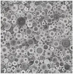 Tara Donovan, Untitled, 2010, Monumental pin head matrix relief print, on Hahnemühle paper, with full margins