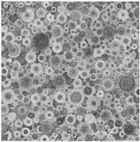 Tara Donovan, Untitled, 2010, Monumental pin head matrix relief print, on Hahnemühle paper, with full margins