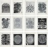 Terry Winters, Atmospheres (F. & S. 59-70), 2014, The complete set of 12 monumental screenprints in colors with water-based and UV inks, on Lanaquarelle paper, the full sheets