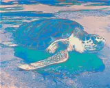 Andy Warhol, Turtle (F. & S. 360A), 1985, Screenprint in colors, on Lenox Museum Board, the full sheet