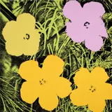 Andy Warhol, Flowers (F. & S. 67)