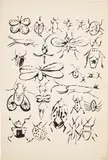 Andy Warhol, Happy Bug Day, 1955, Offset lithograph, on wove paper, with full margins