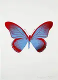 The Souls IV - Frost Blue/Chilli Red by Damien Hirst, 2010, Foil block print in colors, on Arches paper, with full margins, sold Apr 2024