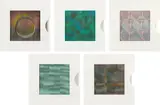 Carlos Cruz-Diez, Transchromies