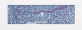 Pat Steir, From the Boat: Constellation, 2002, Etching and aquatint in colors, on wove paper, with full margins