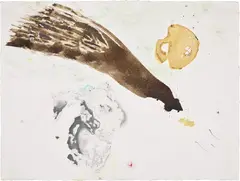 Lucy Dodd, Verona's Green Hair, 2012-13, Unique walnut, yerba mate, kombucha, snake skin, graphite, chalk, fuzz and mosquito drawing, on Arches Aquarelle paper