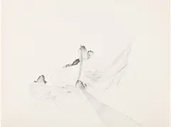 Sandra Cinto, Untitled (After Encounter of Water), 2012, Unique ink drawing, on wove paper