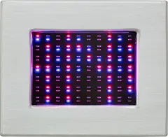 Purple Truisms Survival by Jenny Holzer, 2006, Electronic mini LED screen with blue and red (purple) diodes, with text from Selections from Truisms and Survival , cont, sold Jun 2024
