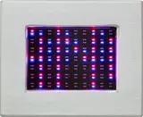 Jenny Holzer, Purple Truisms Survival