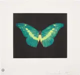 To Believe by Damien Hirst, 2008, Etching in colors, on wove paper, with full margins, sold Jun 2024
