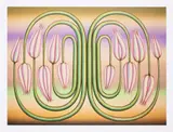 Molly Greene, Insinuator, 2021, Archival pigment print in colors, on wove paper, with full margins
