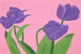 Alex Katz, Purple Tulips 1, from Flowers, 2021, Archival pigment print in colors, on Innova Etching Cotton Rag paper, the full sheet