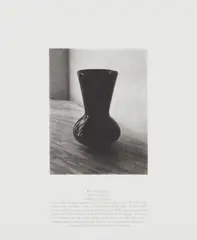Lorna Simpson, Van Der Zee Prop Vase, from 1993 Whitney Biennial in Seoul, 1994, Photolithograph, on Rives BFK paper, with full margins