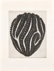 So Yoon Lym, James, 2011, Solar plate etching, on Rives BFK paper, with full margins