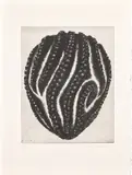 So Yoon Lym, James, 2011, Solar plate etching, on Rives BFK paper, with full margins