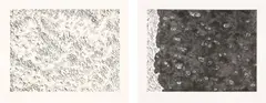 Blane De St. Croix, Tree Line (Haiti and Dominican Republic Border), 2011, Etching diptych, on Gampi Chine collé to Rives BFK paper, with full margins