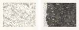 Blane De St. Croix, Tree Line (Haiti and Dominican Republic Border), 2011, Etching diptych, on Gampi Chine collé to Rives BFK paper, with full margins