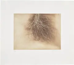 Fifteen Etchings: plate 12 by Anish Kapoor, 1994, Etching and aquatint in colors, on Zerkall paper, with full margins, sold Sep 2024