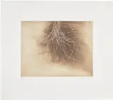 Anish Kapoor, Fifteen Etchings: plate 12, 1994, Etching and aquatint in colors, on Zerkall paper, with full margins