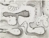 Carroll Dunham, At the Edge (K. A19)