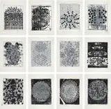 Terry Winters, Atmospheres (F. & S. 59-70), 2014, The complete set of 12 monumental screenprints in colors with water-based and UV inks, on Lanaquarelle paper, the full sheets