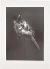 Carsten Höller, Black Canary, 2010, Photogravure, on Somerset Satin paper, with full margins
