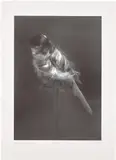 Carsten Höller, Black Canary, 2010, Photogravure, on Somerset Satin paper, with full margins