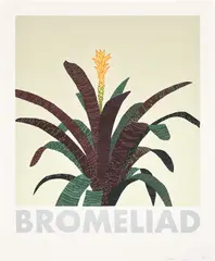 Bromeliad by Jonas Wood, 2020, Screenprint in colors, on Rising Museum Board, with full margins, sold Sep 2024