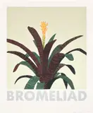 Jonas Wood, Bromeliad, 2020, Screenprint in colors, on Rising Museum Board, with full margins