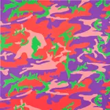 Camouflage (see F. & S. 412) by Andy Warhol, 1987, Unique screenprint in colors, on Lenox Museum Board, the full sheet, sold Oct 2024