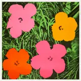 Andy Warhol, Flowers (F. & S. 6), 1964, Offset lithograph in colors, on wove paper, with full margins