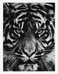 Untitled (Tiger Head 2) by Robert Longo, 2014, Archival pigment print, on wove paper, with full margins, sold Oct 2024
