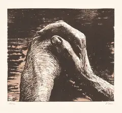Hands I (C. 284) by Henry Moore, 1973, Lithograph in colors, on Arches paper, with full margins, sold Oct 2024