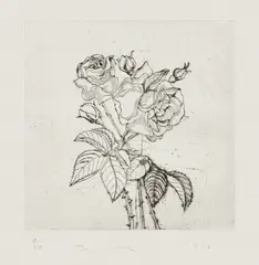 Roses (D'O. & F. 32) by Jim Dine, 1978, Drypoint, on John Koller HMP Lexington paper, with full margins, sold Oct 2024