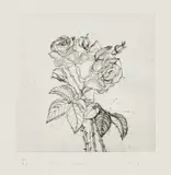 Jim Dine, Roses (D'O. & F. 32), 1978, Drypoint, on John Koller HMP Lexington paper, with full margins