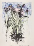 Jim Dine, Watercolor January (B. 112)