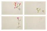 Andy Warhol, A Gold Book: two sheets, four images (see F. & S. IV.108 & IV.114), 1957, Four offset lithographs, three with hand-coloring in watercolor, printed on both sides of two sheets of wove paper, with full margins and the full sheets, unfolded and never bound