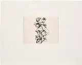 Brice Marden, Cyprian Evocation