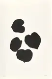 Grape Leaves III (G. 532, A. 96) by Ellsworth Kelly, 1973-74, Lithograph, on Arches paper, with full margins, sold Oct 2024