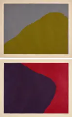 Irregular Forms, from Notes on a Room (K. 1998.07) by Sol LeWitt, 1998, Two woodcuts in colors in oil-based inks, on Kozo-Misumu paper, with full margins, sold Oct 2024