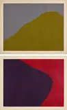 Sol LeWitt, Irregular Forms, from Notes on a Room (K. 1998.07), 1998, Two woodcuts in colors in oil-based inks, on Kozo-Misumu paper, with full margins