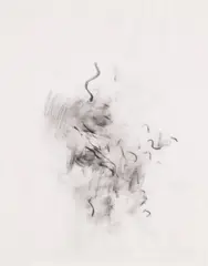 after NGS C dr x1 by David Schutter, 2009, Unique graphite drawing, on vellum, framed, offered Oct 2024