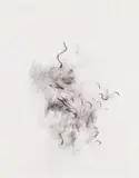 David Schutter, after NGS C dr x1, 2009, Unique graphite drawing, on vellum, framed