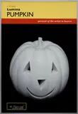 Charles Ray, Pumpkin Poster, 2006, Chromogenic print in colors, on wove paper, the full sheet, contained in the original metal artist's frame