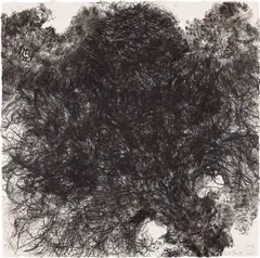 Kiki Smith, Untitled (W. 43), 1990, Lithograph in colors, on wove paper, the full sheet