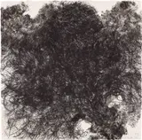 Kiki Smith, Untitled (W. 43), 1990, Lithograph in colors, on wove paper, the full sheet